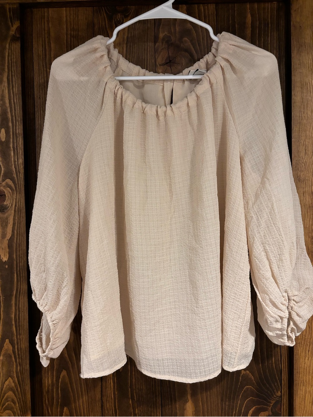 A New Day Balloon Sleeve Chiffon Lined Blouse Tie Back Textured Large